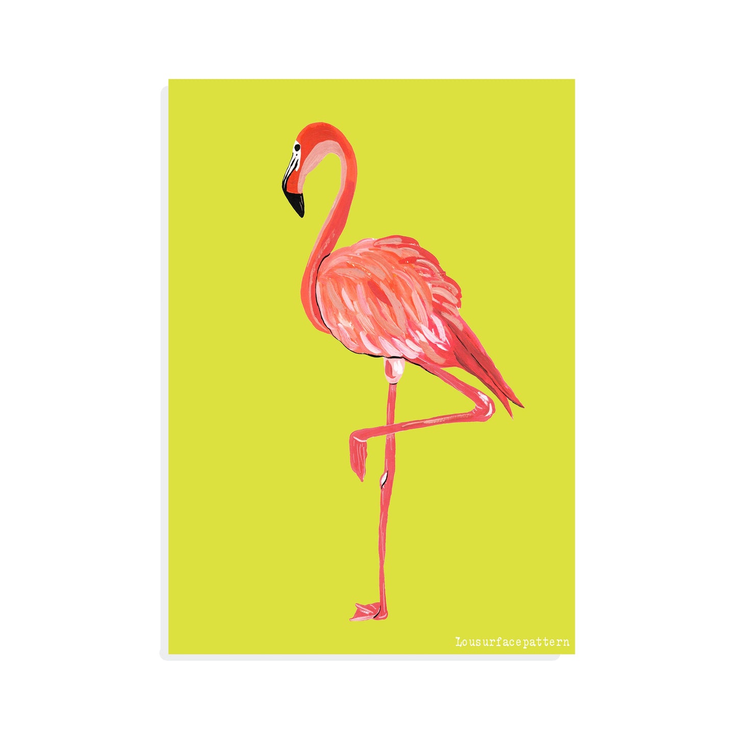Flamingo