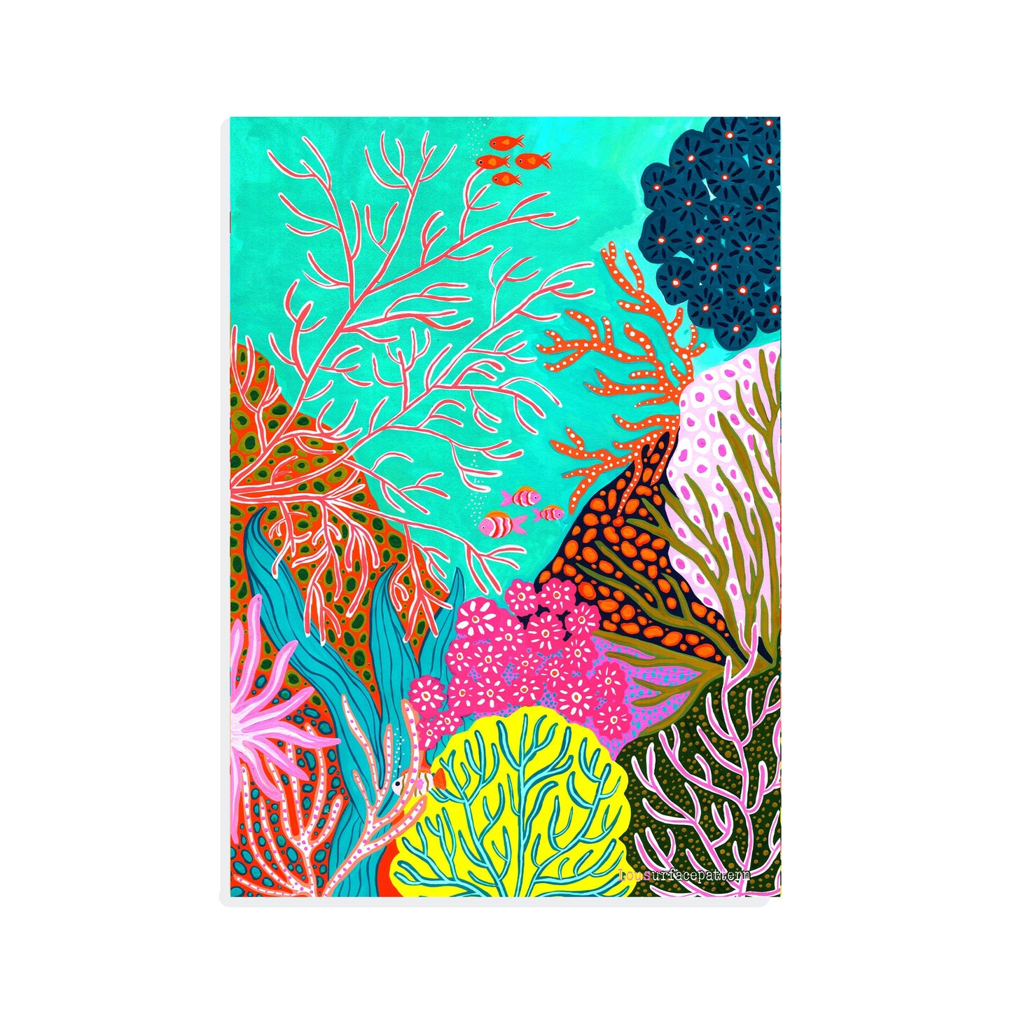 Corals
